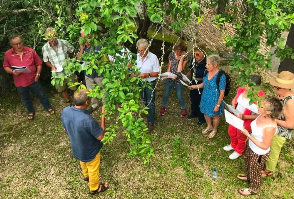 Compte rendut d’amassada generala de l’IEO d’Òlt 2023