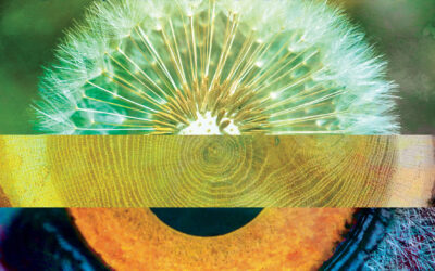 Un nouveau document pour présenter l&rsquo;occitan