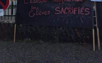 Pétition – « Non à la suppression de 2 postes et de l’option Occitan au Collège St Exupéry de Condom »