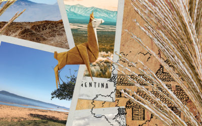 Lo Diari n°56 est sorti