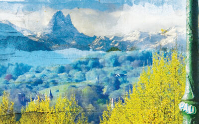 Lo Diari n°89 descend en gare de Pau